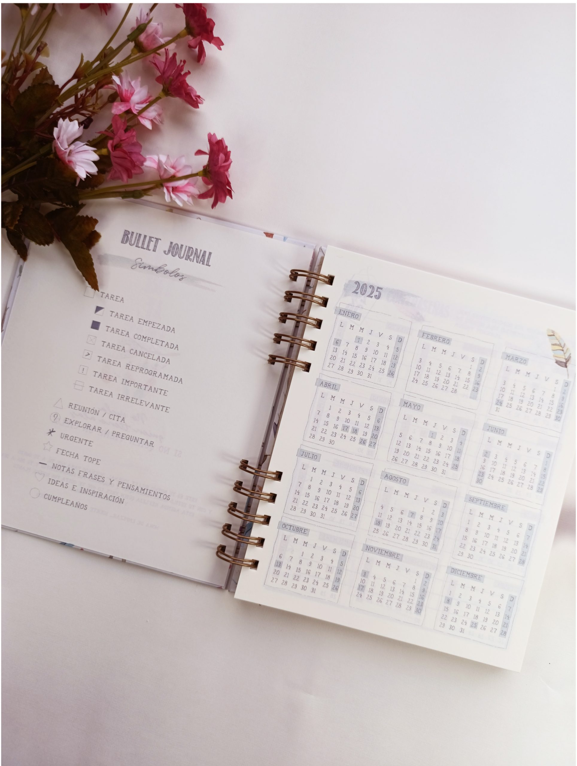 Agenda Bohemia - Imagen 4