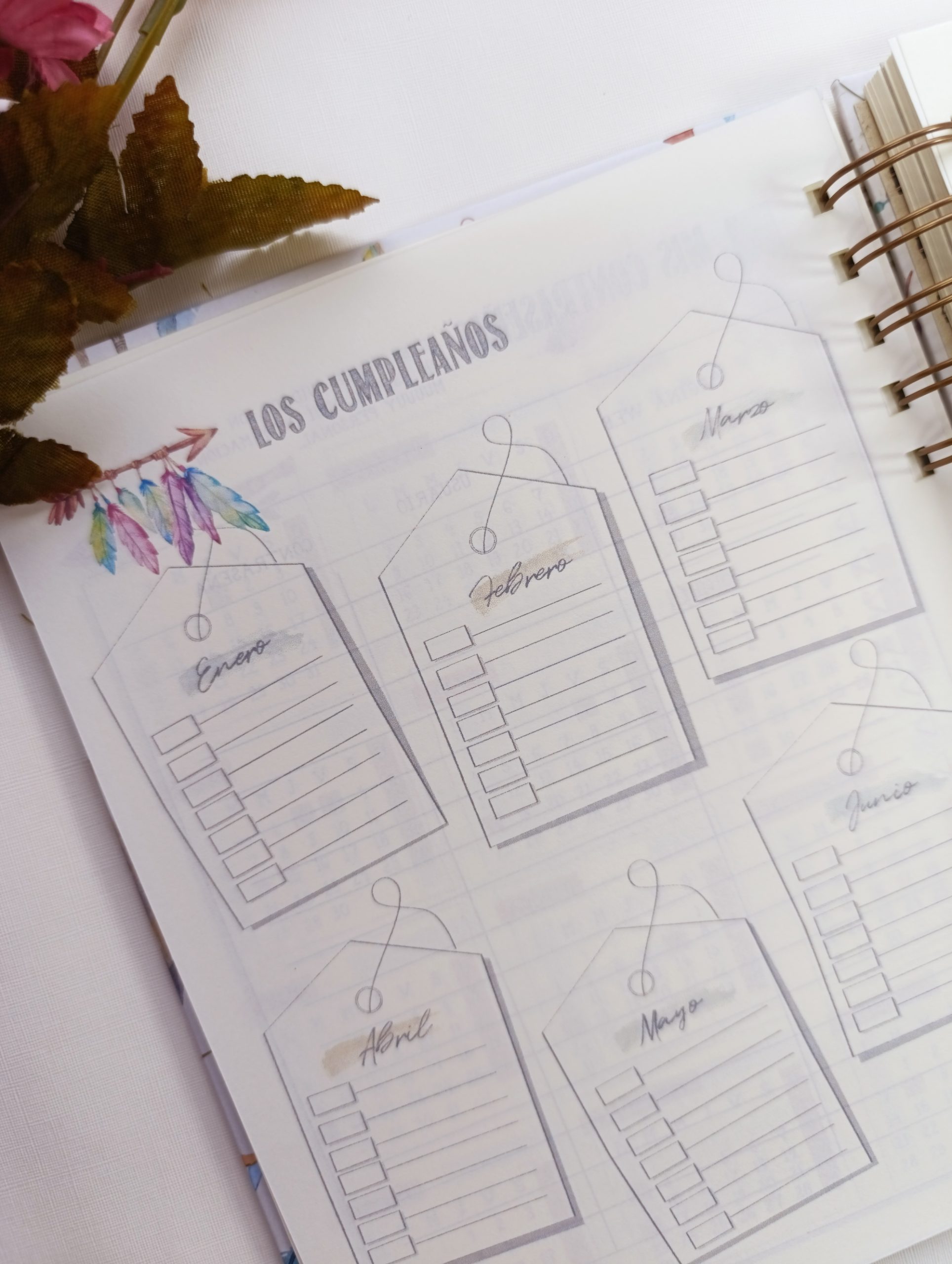 Agenda Bohemia - Imagen 6