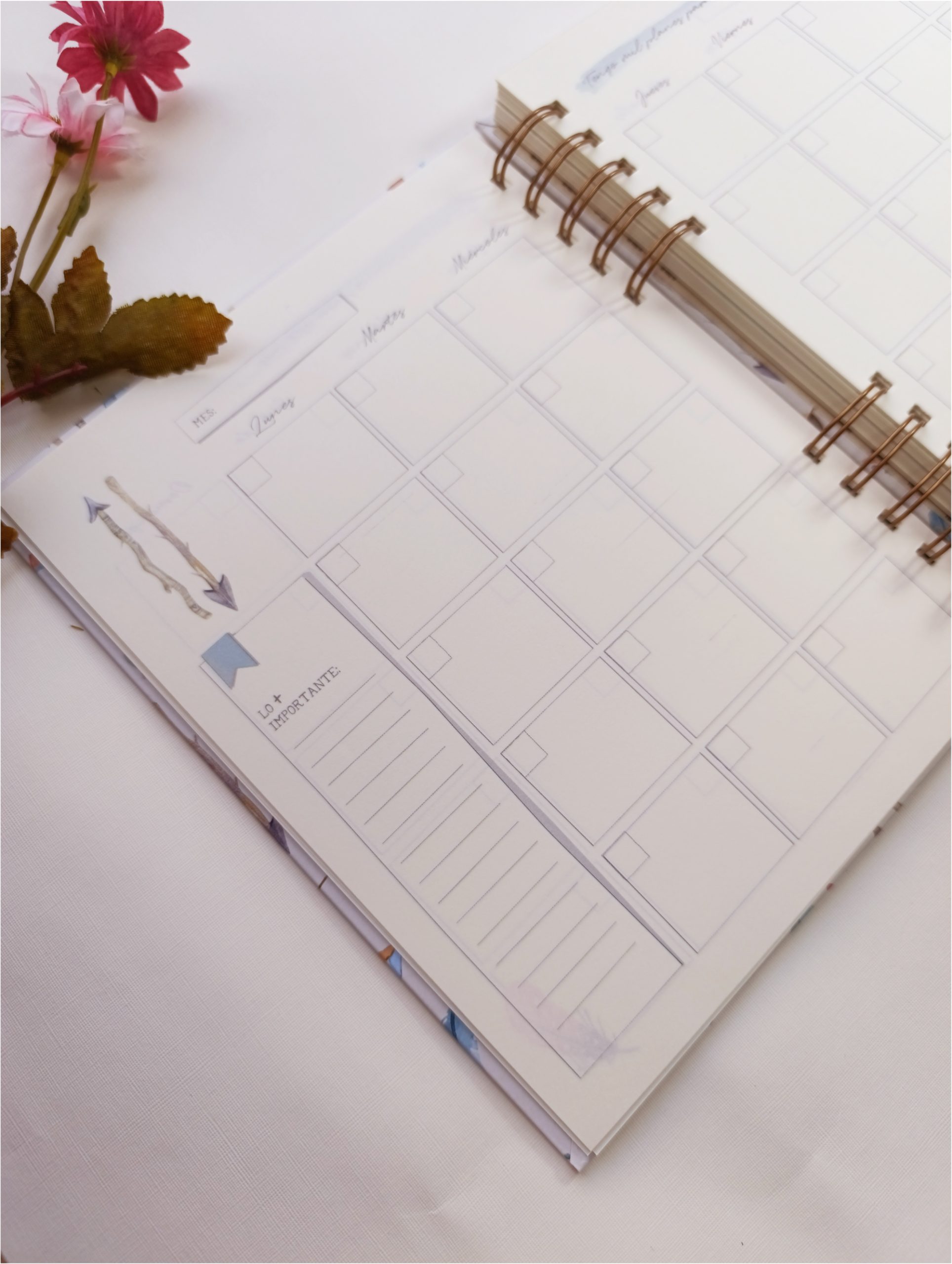 Agenda Bohemia - Imagen 8