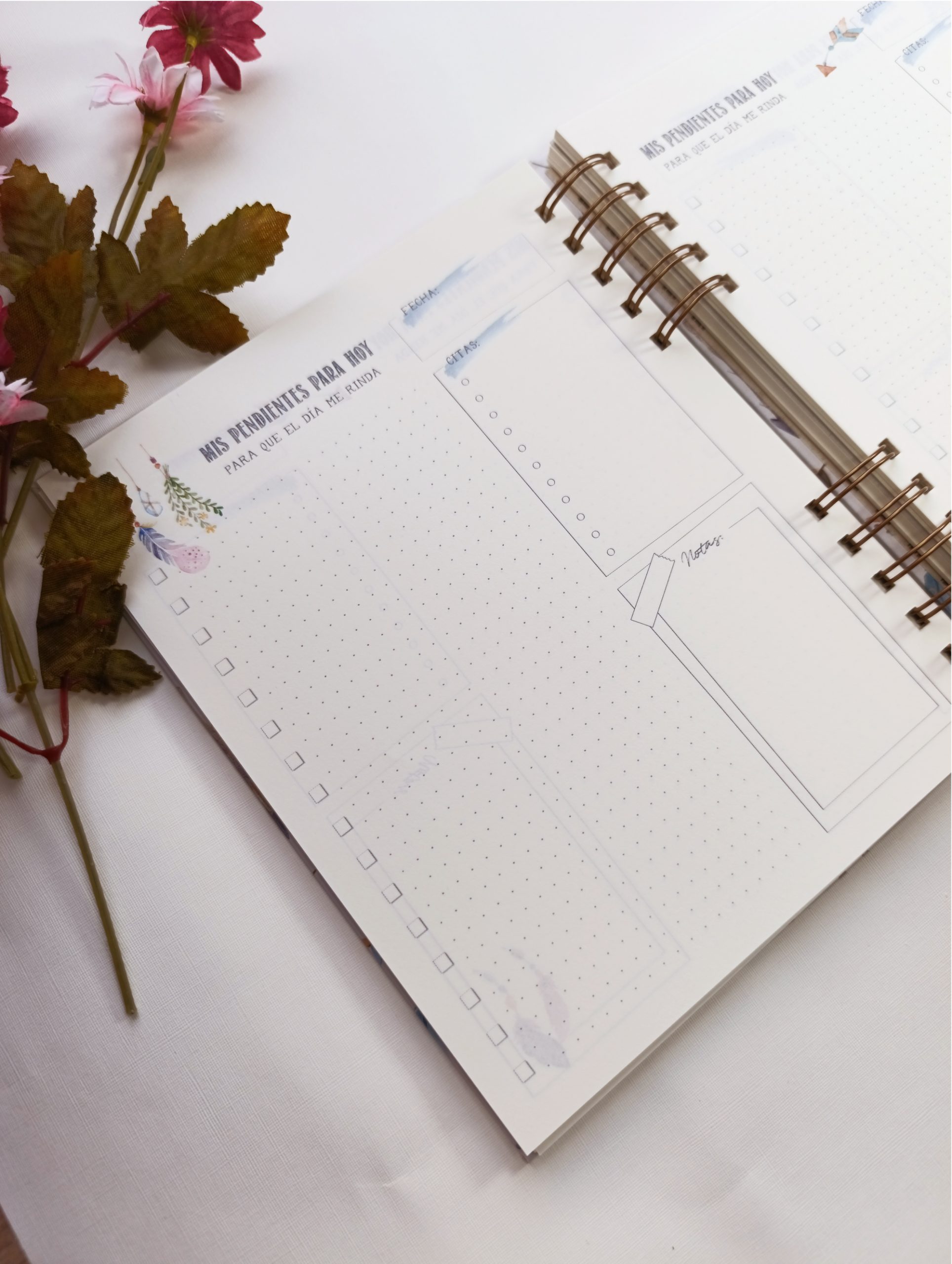 Agenda Bohemia - Imagen 9